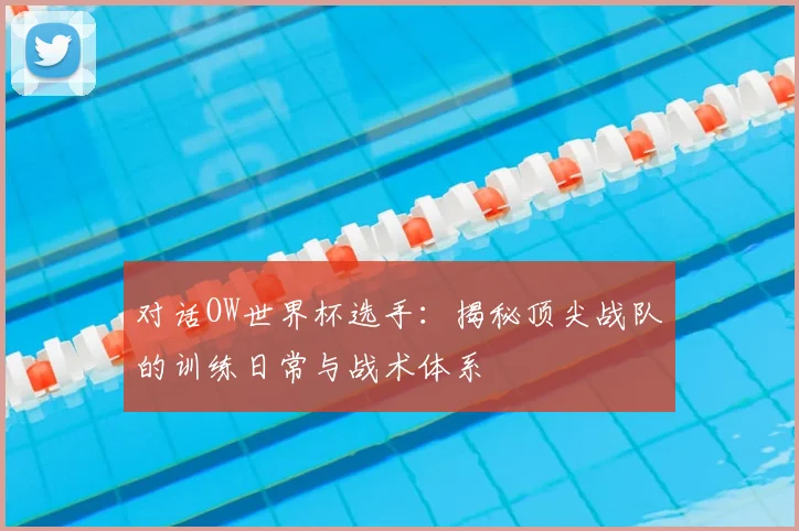 对话OW世界杯选手:揭秘顶尖战队的训练日常与战术体系