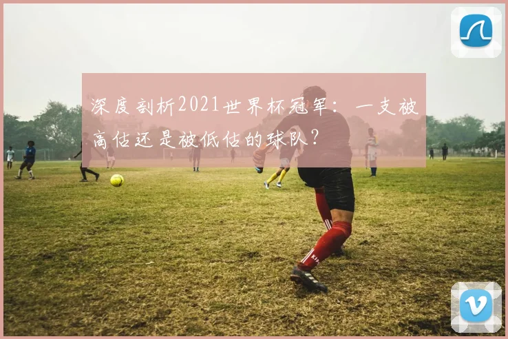 深度剖析2021世界杯冠军：一支被高估还是被低估的球队？