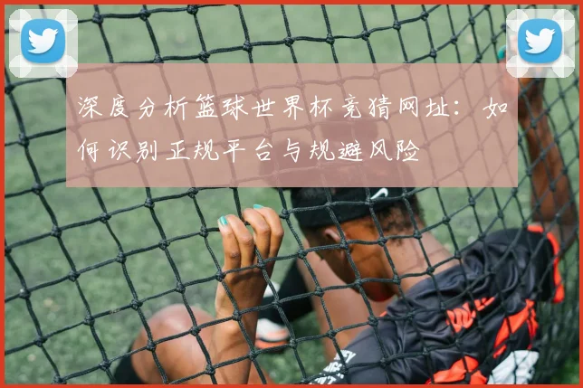 深度分析篮球世界杯竞猜网址：如何识别正规平台与规避风险