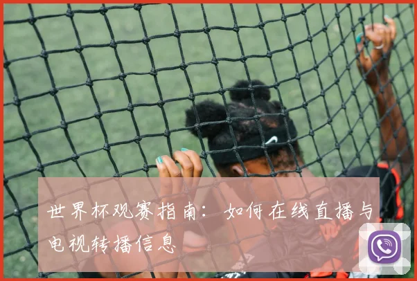 世界杯观赛指南：如何在线直播与电视转播信息